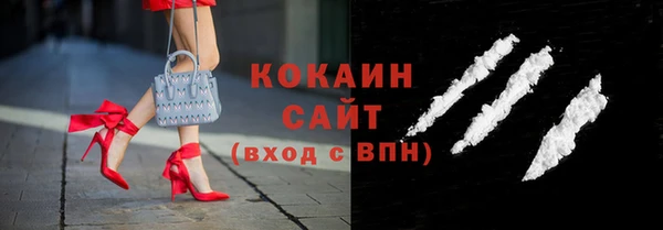 индика Костерёво