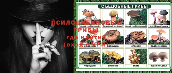 соль ск Кодинск