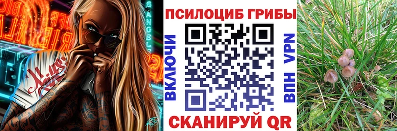 Галлюциногенные грибы Cubensis  Купить  Вельск 