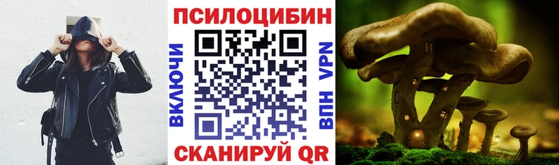 Псилоцибиновые грибы прущие грибы Вельск